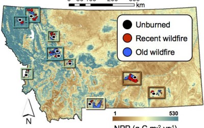 New paper in Ecosphere on wildfire, productivity, and plant diversity across scales