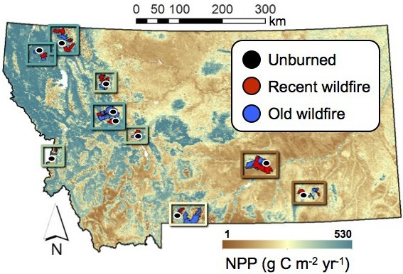 New paper in Ecosphere on wildfire, productivity, and plant diversity across scales