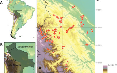 New paper in PLoS ONE on elevational beta-diversity gradients in the tropics