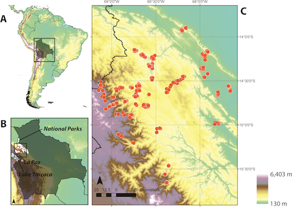 New paper in PLoS ONE on elevational beta-diversity gradients in the tropics