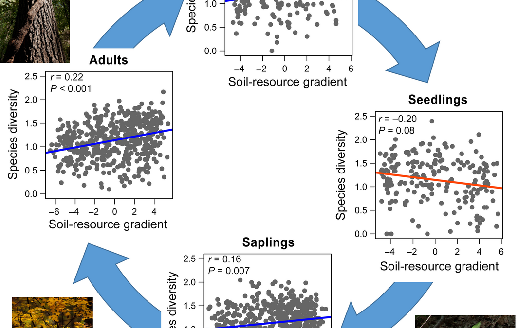 New paper in Ecology Letters on density dependence and diversity across resource gradients