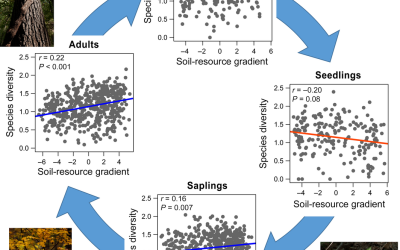 New paper in Ecology Letters on density dependence and diversity across resource gradients