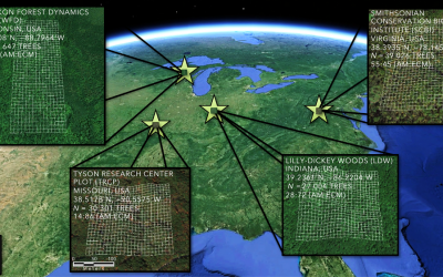 New paper in Global Change Biology on remote sensing of forest tree-mycorrhizal associations