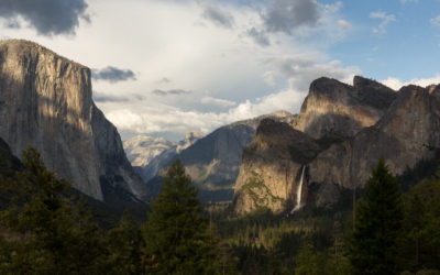 Joe & Jonathan visit the Yosemite ForestGEO Plot