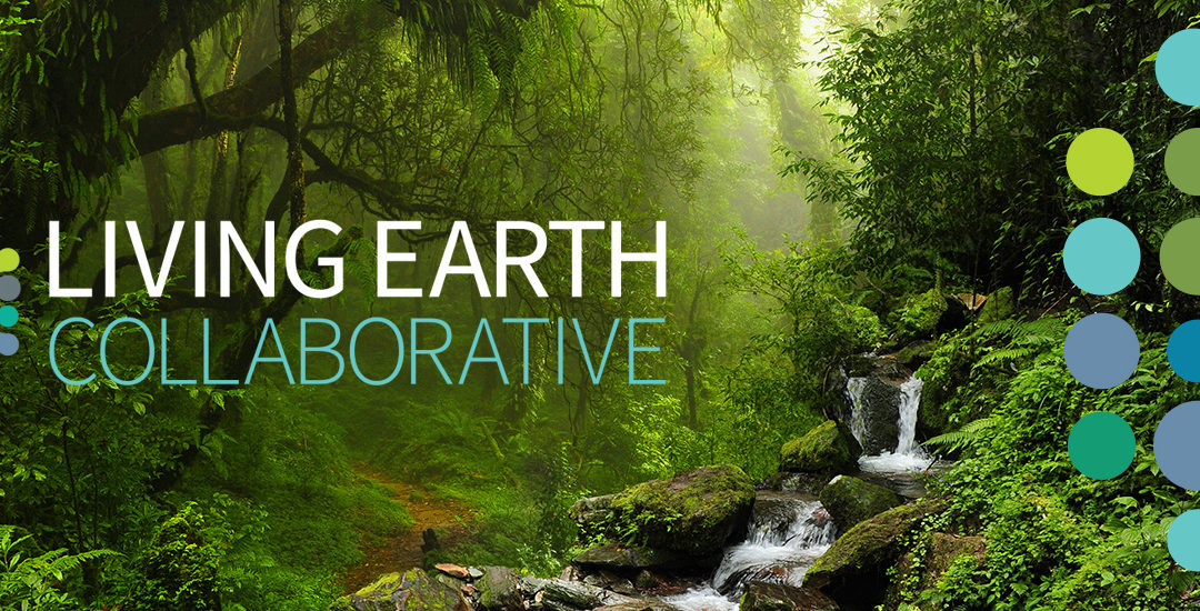 Jonathan & colleagues are awarded a Living Earth Collaborative Grant