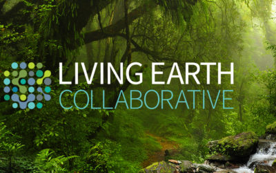 Jonathan & colleagues are awarded a Living Earth Collaborative Grant