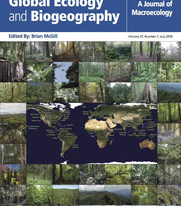 New paper in GEB – Global importance of big trees