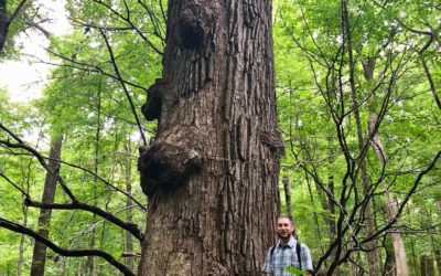 Jonathan presents a seminar at University of Illinois Urbana-Champaign