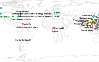 New paper in Ecology Letters – Climate effects on the latitudinal-diversity gradient in forest trees