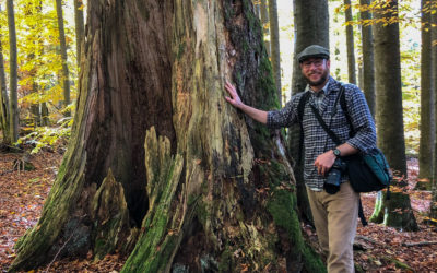 Jonathan visits the Zofin ForestGEO Plot