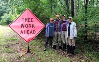 ForestGEO Field Census Update: Tyson Research Center Edition