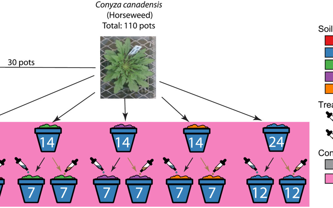 New paper in PLoS ONE – Root-endophyte communities in prairies