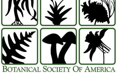 David is awarded Botanical Society of America Travel Grant