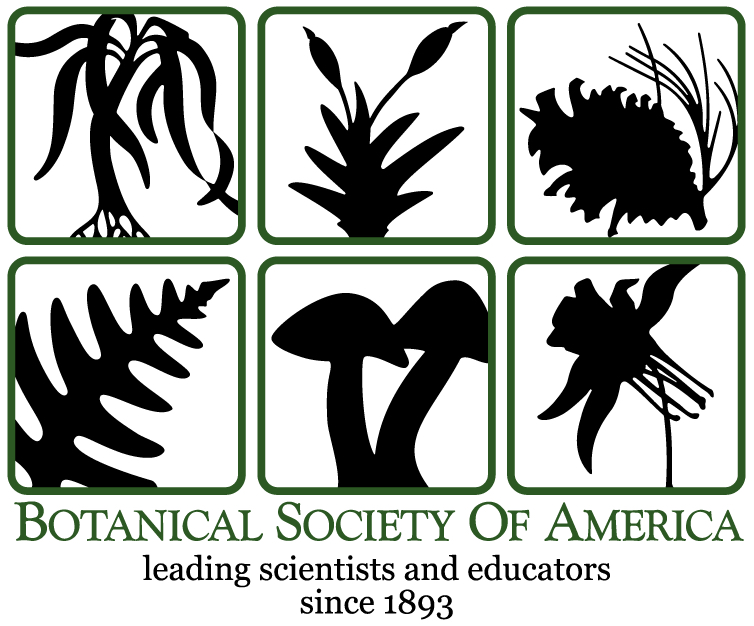 David is awarded Botanical Society of America Travel Grant