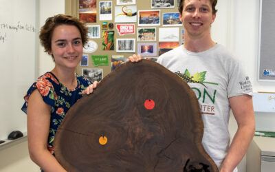 New paper in Ecology – Beta-diversity as a driver of forest biomass across scales