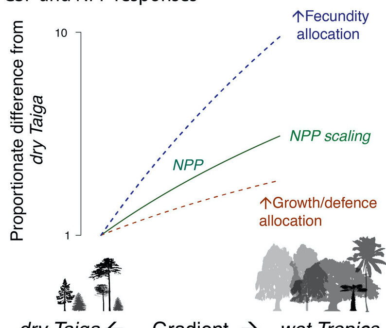 New paper in Ecology Letters – Tree fecundity exceeds productivity gradients