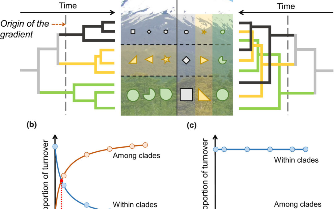 New paper in New Phytologist – Evolutionary assembly of tropical forests in the Andes Mountains