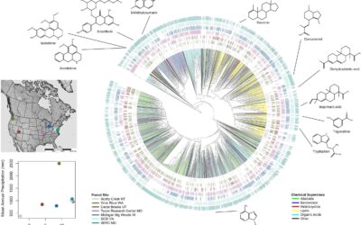 New paper in Frontiers in Ecology and Evolution – Chemical ecology of temperate forests