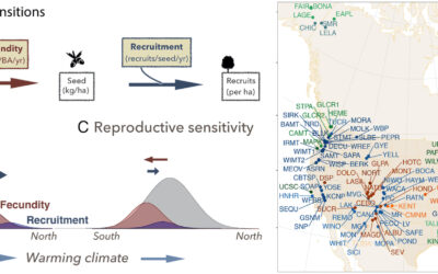 New paper in PNAS – North American tree migration paced by climate in West, lagging in East