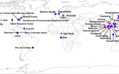 New paper in Nature Comm. – Mycorrhizal fungi & the latitudinal beta-diversity gradient in forests