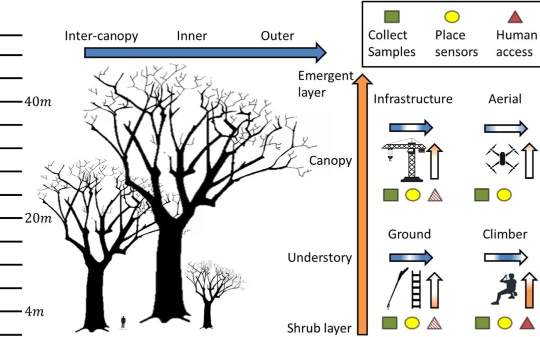 Ethan publishes a paper in Frontiers in Forests and Global Change