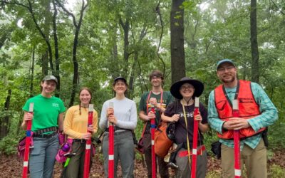 Summer field season is underway at Tyson Research Center!
