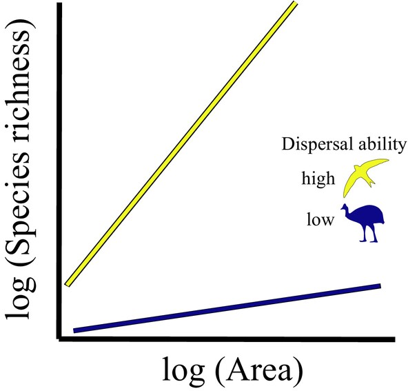 New paper in Ecology Letters – Avian dispersal ability shapes island species-area relationships