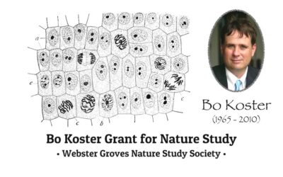 Noah awarded Bo Koster Grant for Nature Study
