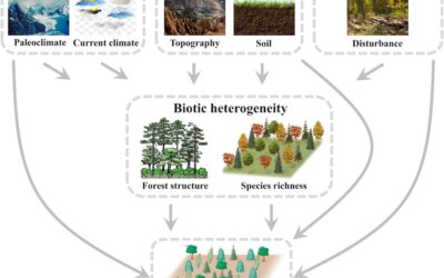 New paper in J. Biogeography – Ecological uniqueness across forest plant life-forms