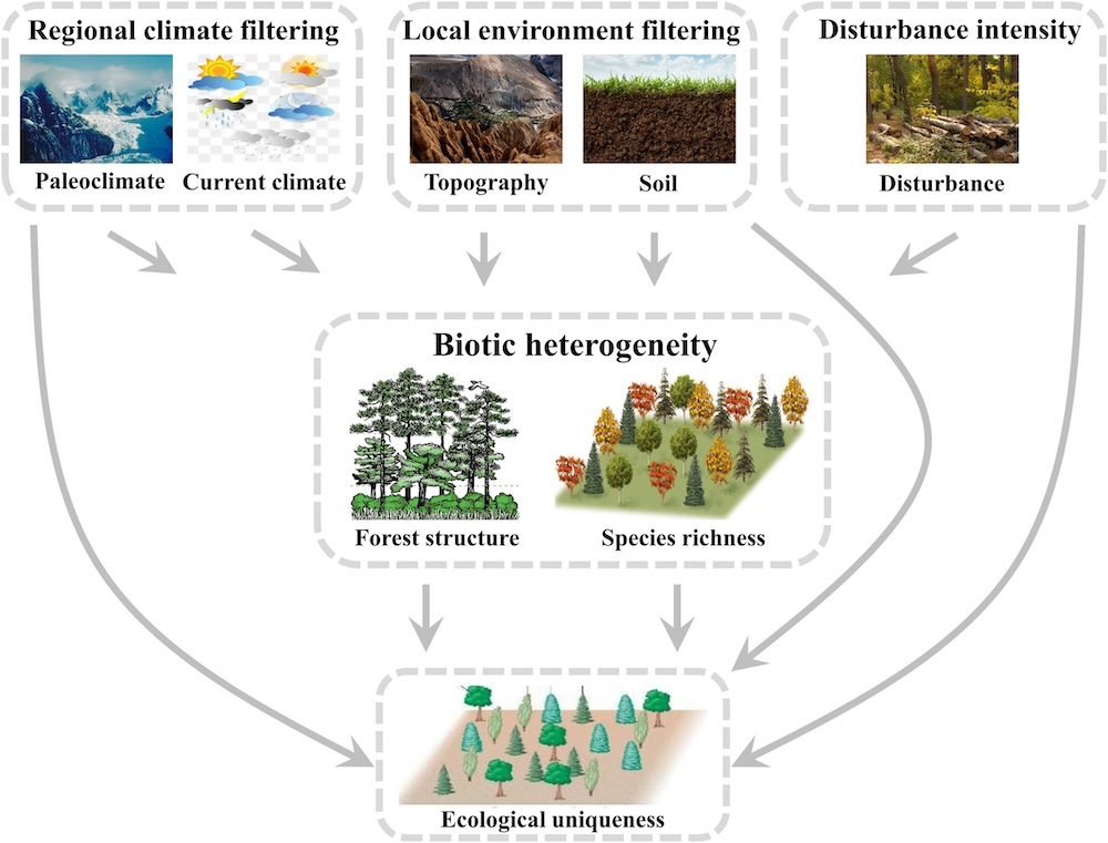 New paper in J. Biogeography – Ecological uniqueness across forest ...