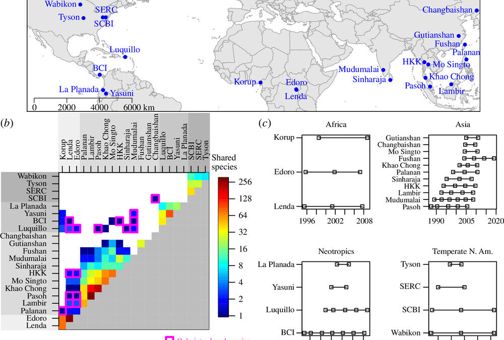 New paper in Proc. B – Assessing the spatial scale of synchrony in forest tree population dynamics