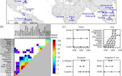 New paper in Proc. B – Assessing the spatial scale of synchrony in forest tree population dynamics