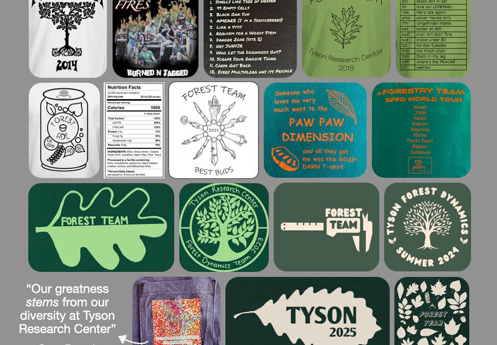 A collage of Forest Team t-shirts: 2014-2025