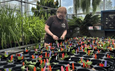 Golde receives Summer Undergraduate Research Guided Experience (SURGE) award