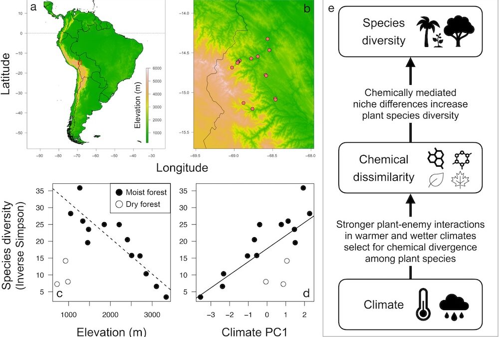 New paper in Ecology – Ecological metabolomics of tropical trees along elevational gradients