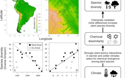 New paper in Ecology – Ecological metabolomics of tropical trees along elevational gradients