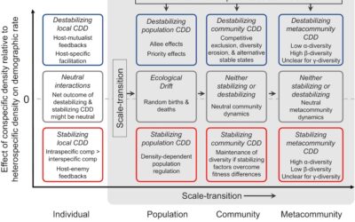 New paper in Ecology Letters – Conspecific density effects, plant diversity & community dynamics