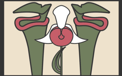 In Defense of Podcast with Anna Wassel – Pawpaw randomness