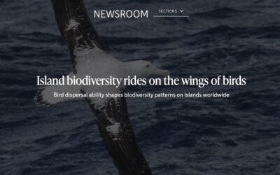 Island biodiversity rides on the wings of birds