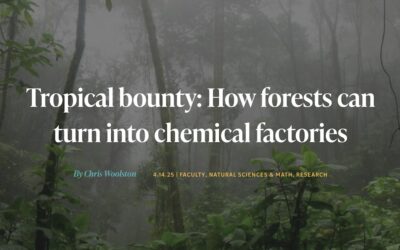 Tropical bounty: How tropical forests can turn into chemical factories