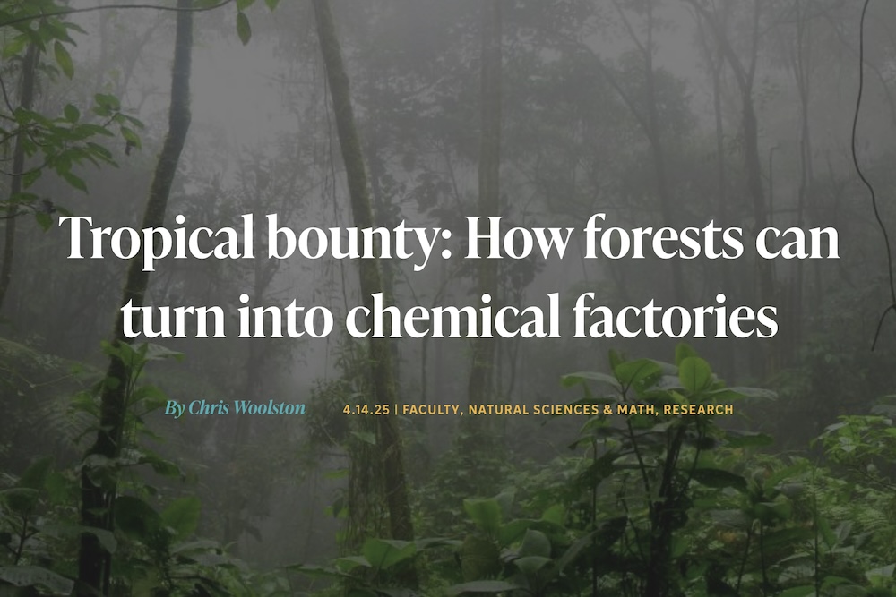 Tropical bounty: How tropical forests can turn into chemical factories