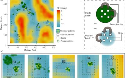 New paper in Ecosphere – Pawpaws prevent predictability in forest herb community assembly