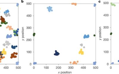 New paper in Nature – Latitudinal scaling of aggregation with abundance and tree coexistence