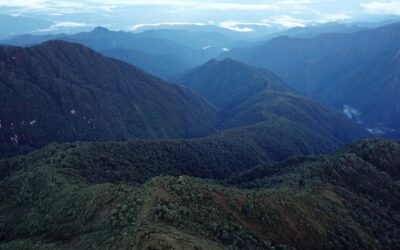 New paper in PNAS – Amazonian and Andean tree communities are not tracking climate warming